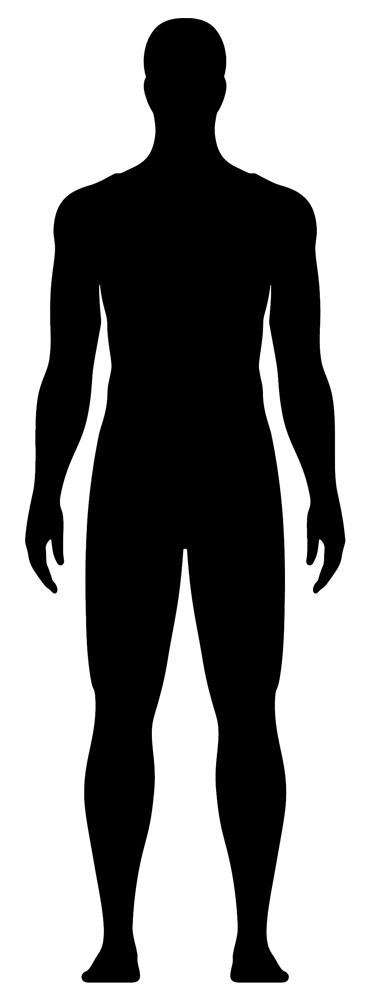 תרשים גוף אחורי