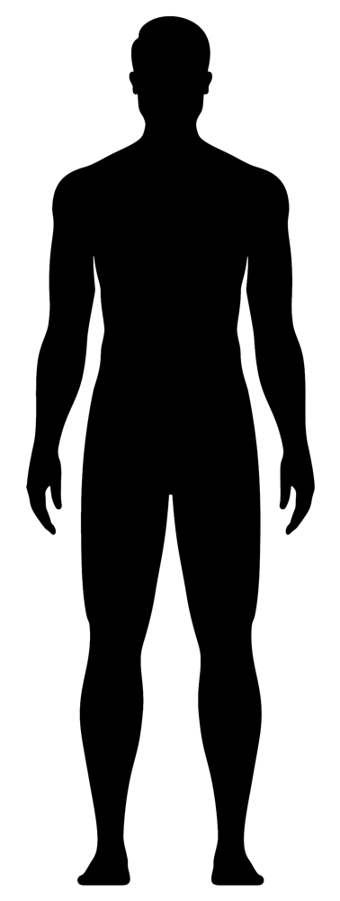 תרשים גוף קדמי
